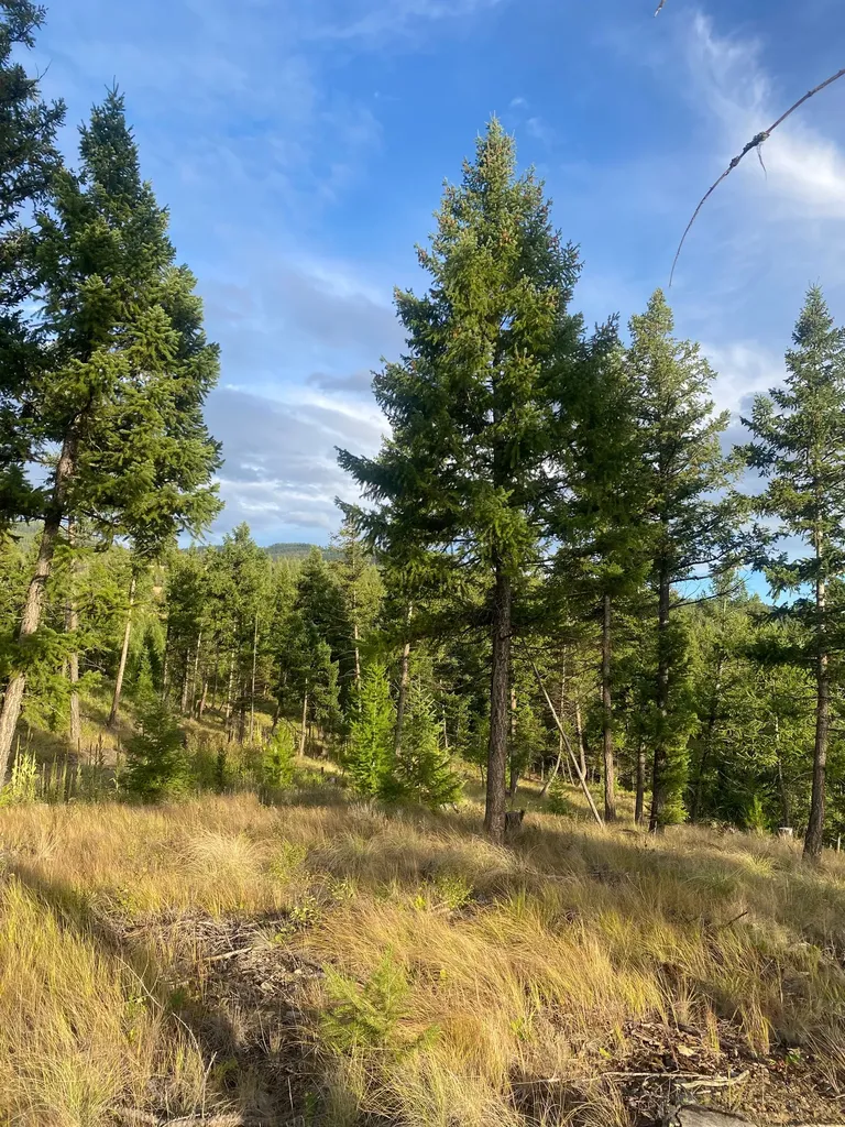 1444 Haskill Ranch Road Kila MT 59920