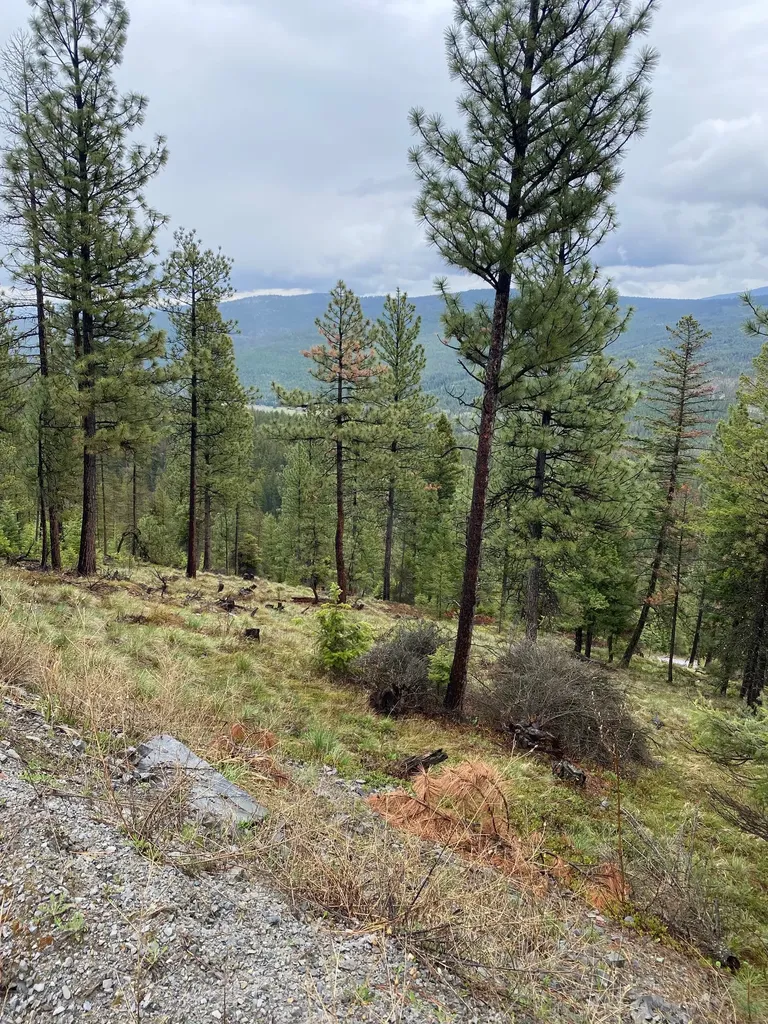 1444 Haskill Ranch Road Kila MT 59920