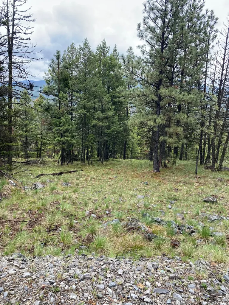 1444 Haskill Ranch Road Kila MT 59920