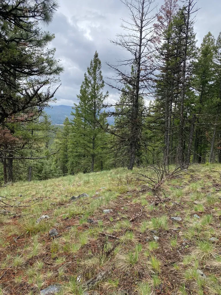 1444 Haskill Ranch Road Kila MT 59920