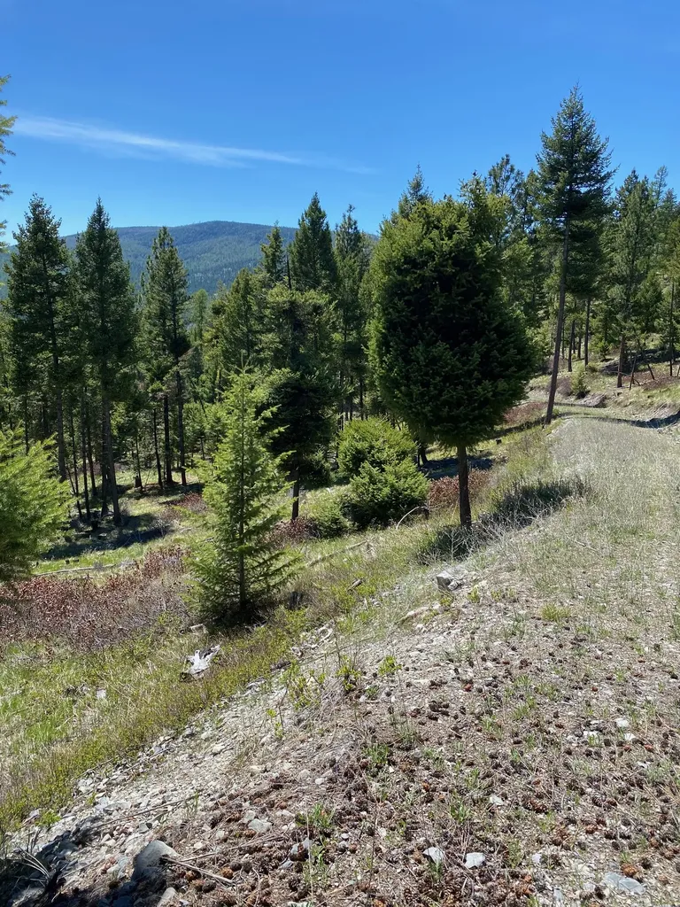1444 Haskill Ranch Road Kila MT 59920
