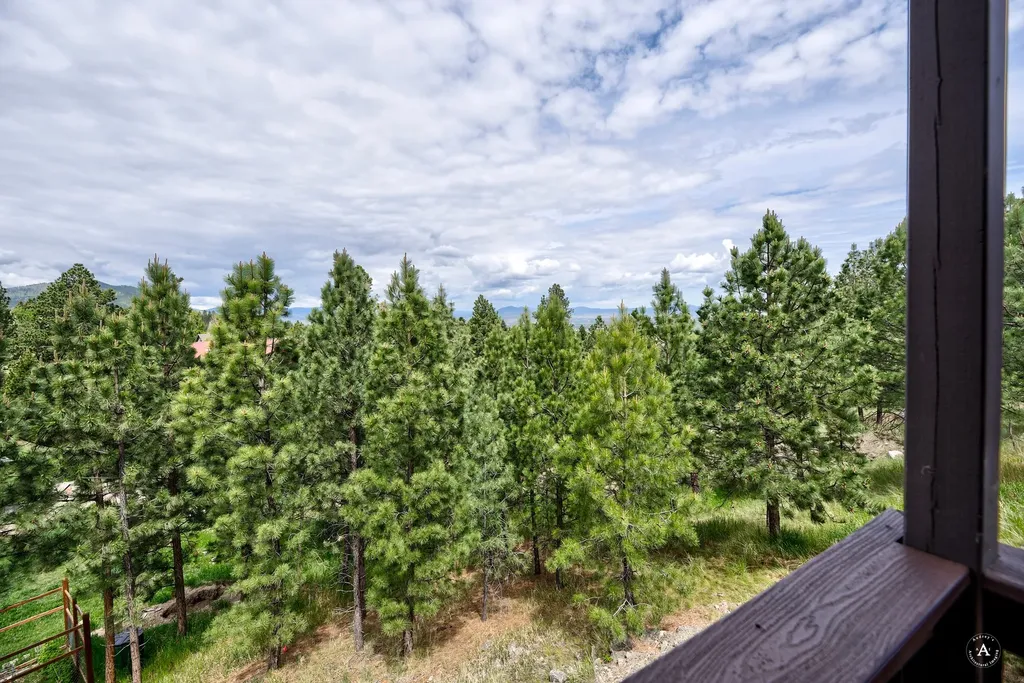 1644 Gold Rush Avenue Helena MT 59601