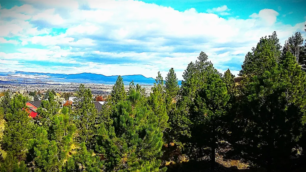 1644 Gold Rush Avenue Helena MT 59601