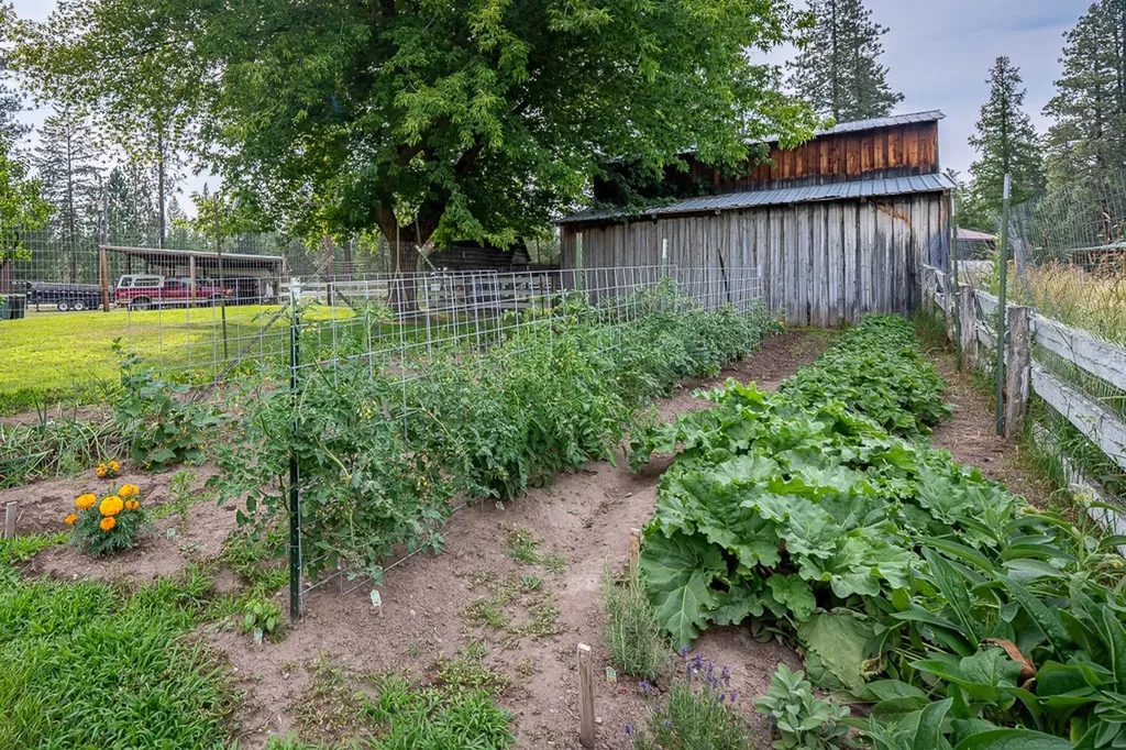 4 Courtier Road Thompson Falls MT 59873