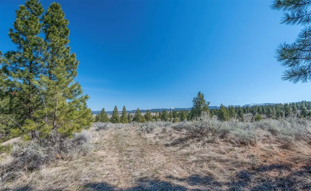 Parcel C Chase Lane Stevensville MT 59870