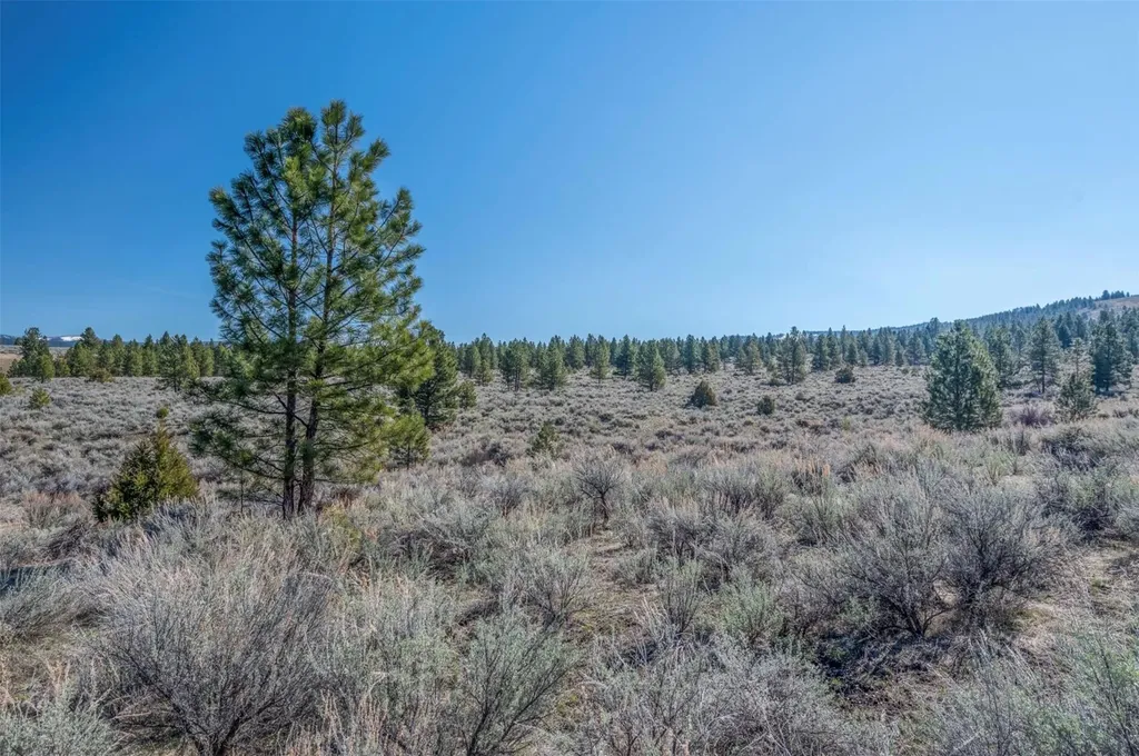 Parcel I Chase Lane Stevensville MT 59870