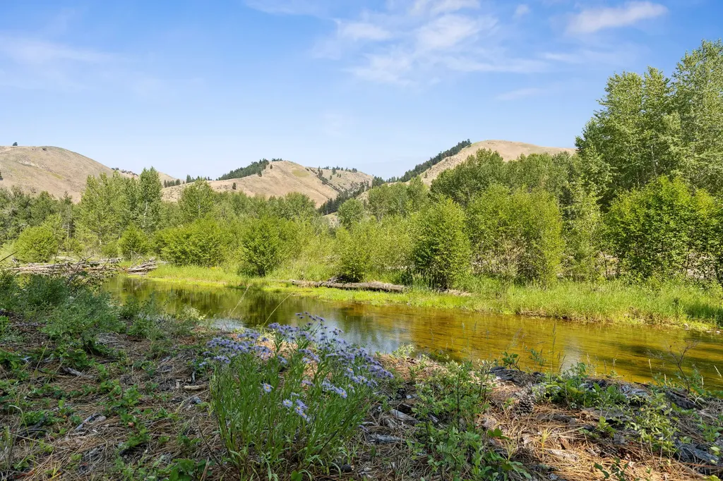 2848 E Gorus Loop Darby MT 59829