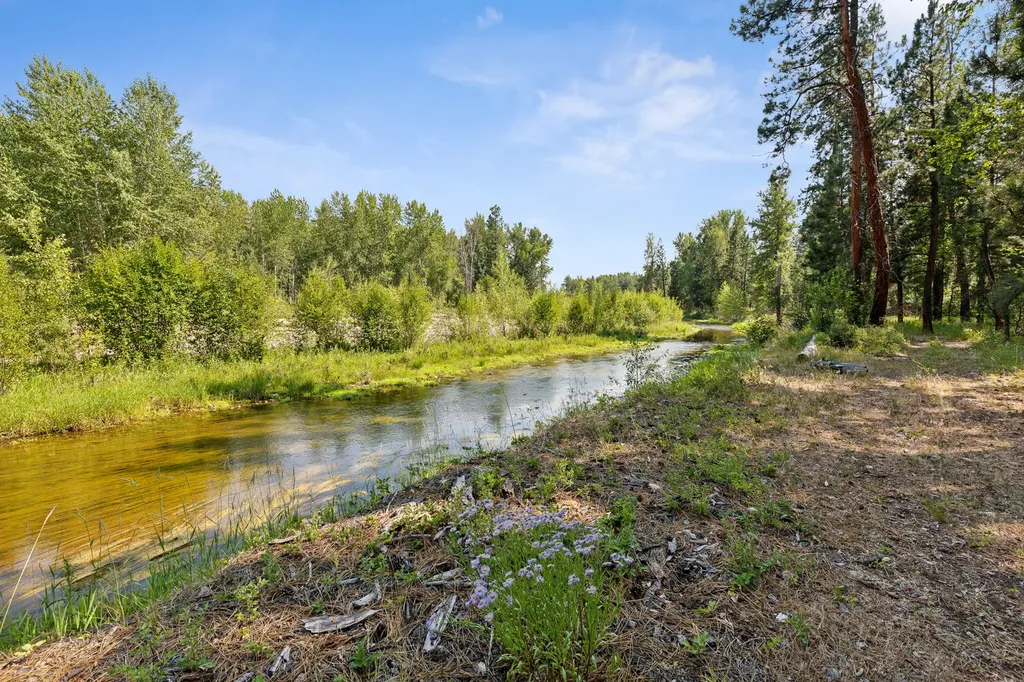 2848 E Gorus Loop Darby MT 59829