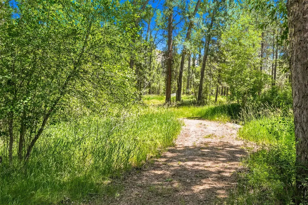 2848 E Gorus Loop Darby MT 59829