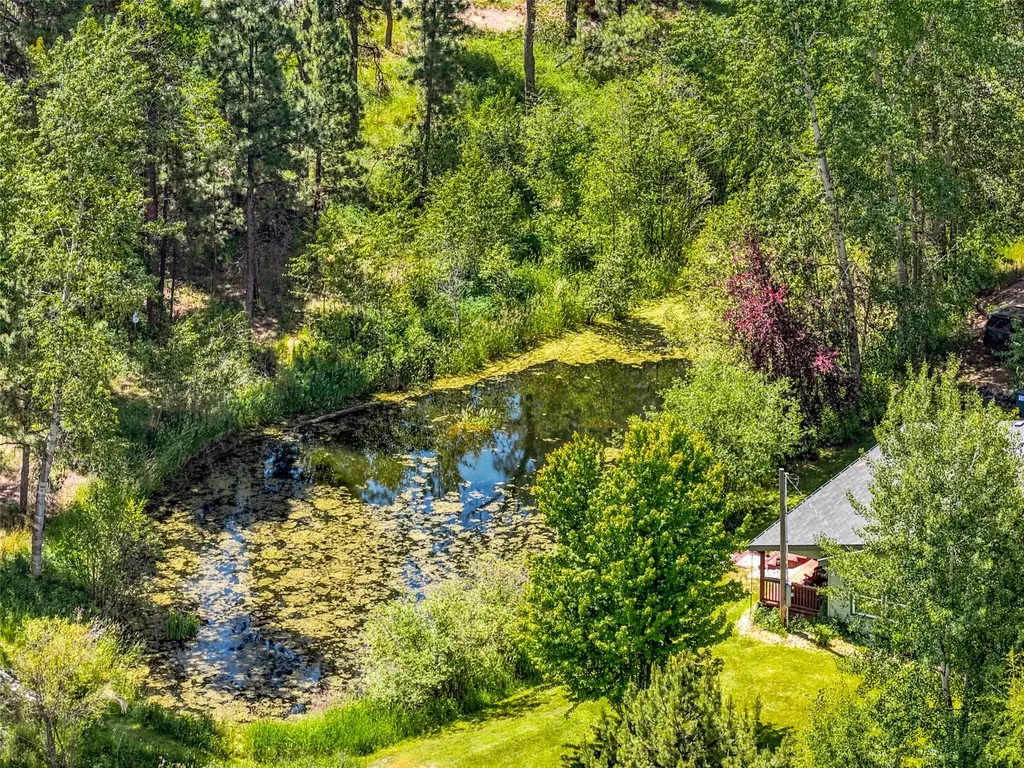 2848 E Gorus Loop Darby MT 59829