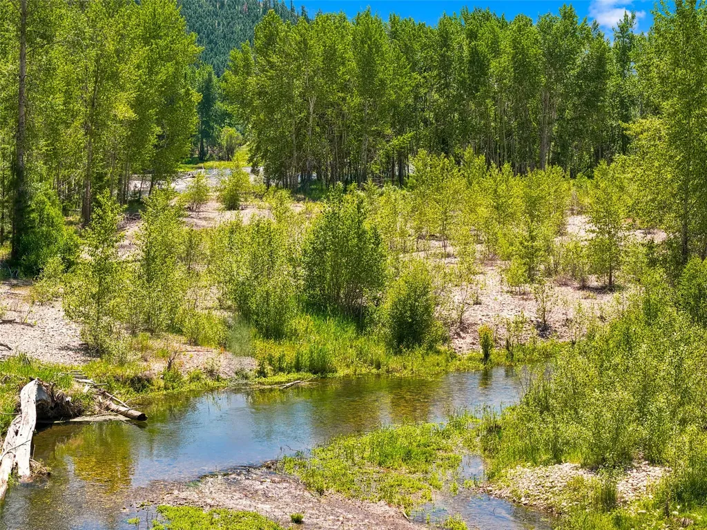 2848 E Gorus Loop Darby MT 59829