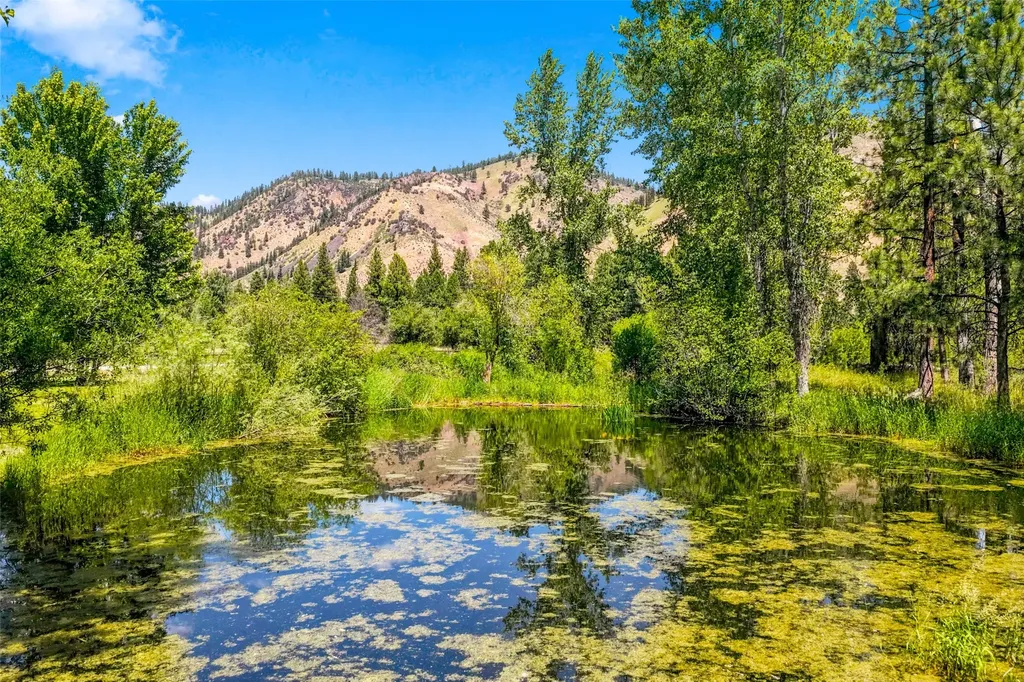 2848 E Gorus Loop Darby MT 59829