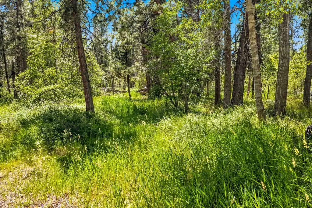 2848 E Gorus Loop Darby MT 59829