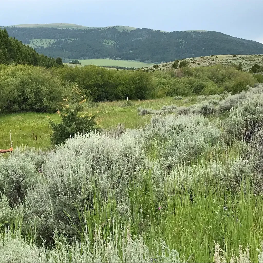40 Mike Day Drive White Sulphur Springs MT 59645