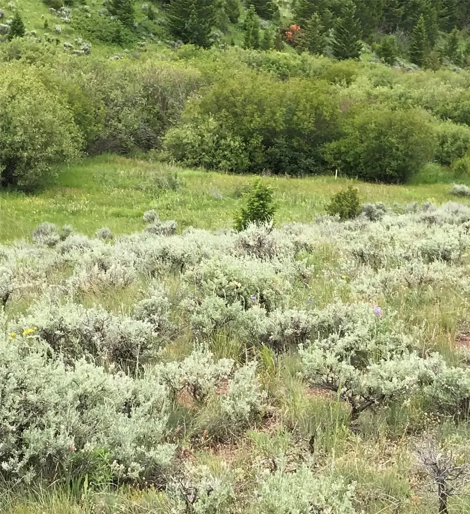 40 Mike Day Drive White Sulphur Springs MT 59645