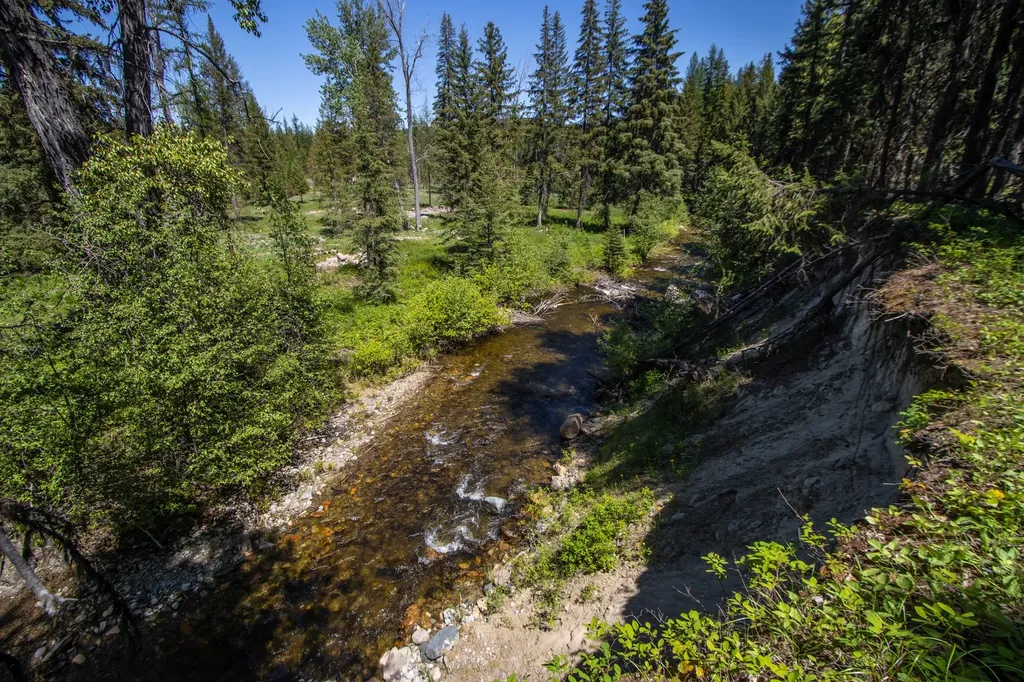 7490 Pinkham Creek Road Rexford MT 59930