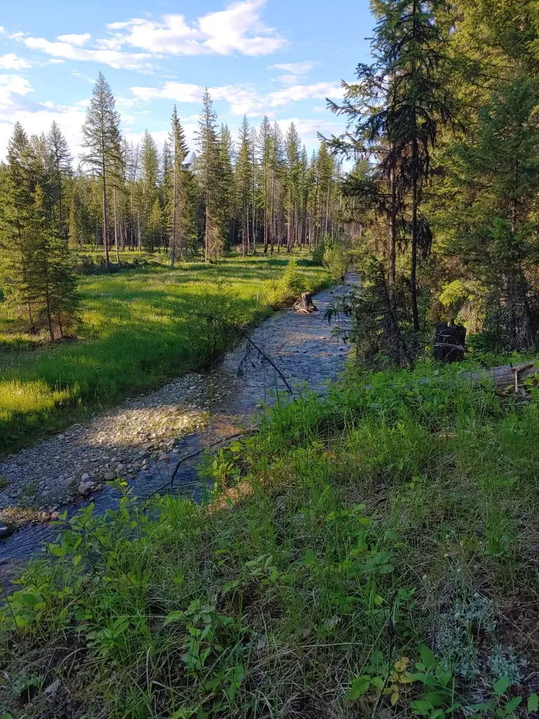 7490 Pinkham Creek Road Rexford MT 59930