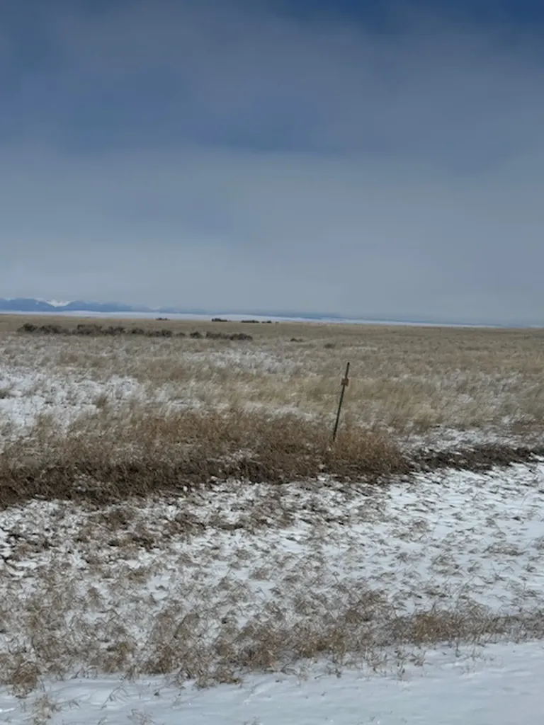 Nhn Antelope Road Shawmut MT 59078