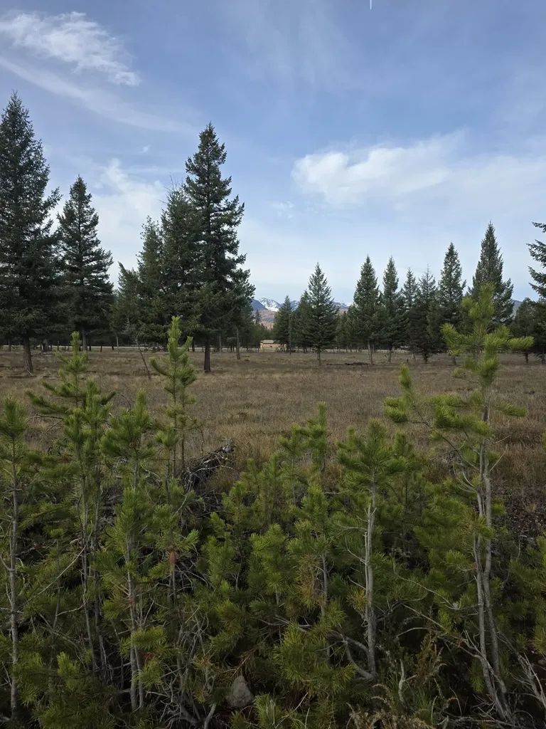Nhn Nhn Hollopeter Road Condon MT 59826