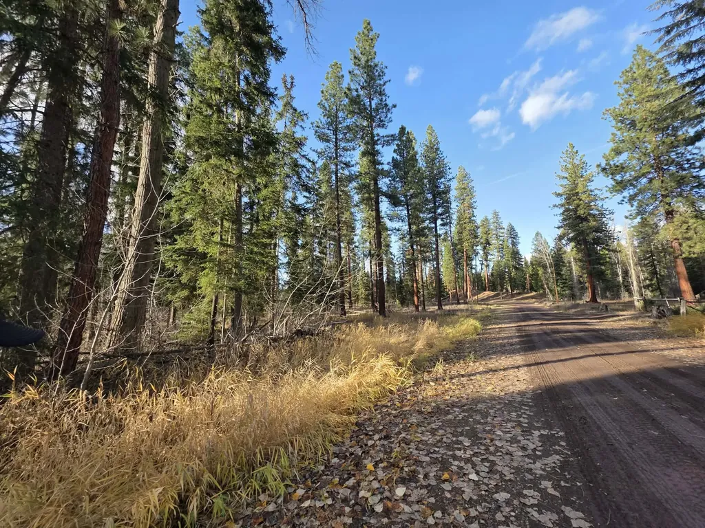 Nhn Nhn Hollopeter Road Condon MT 59826