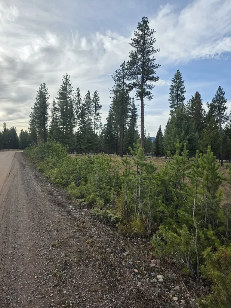 Nhn Nhn Hollopeter Road Condon MT 59826