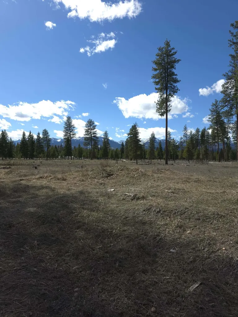 Nhn Nhn Hollopeter Road Condon MT 59826