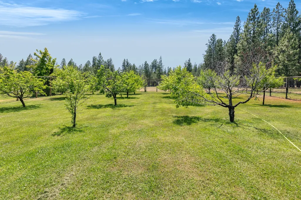 1862 Mountain Meadow Lane Victor MT 59875