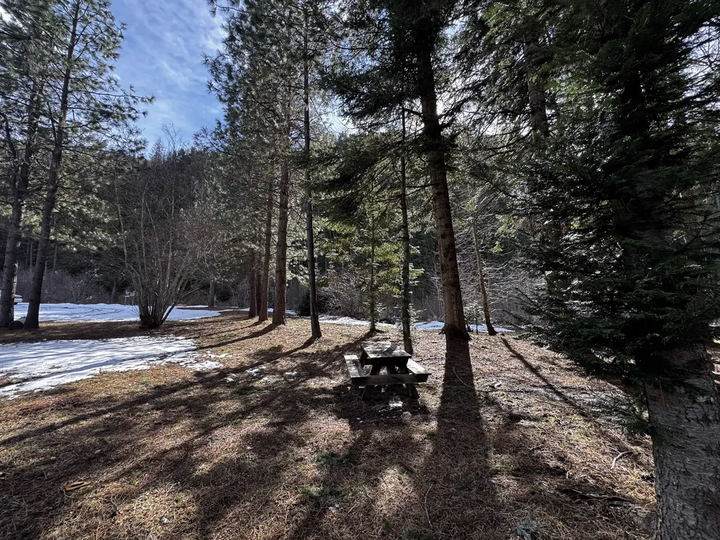 713 Prospect Creek Road Thompson Falls MT 59873