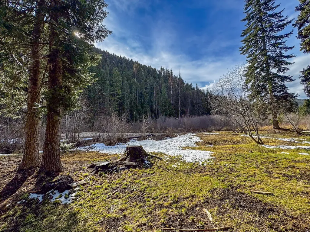 713 Prospect Creek Road Thompson Falls MT 59873