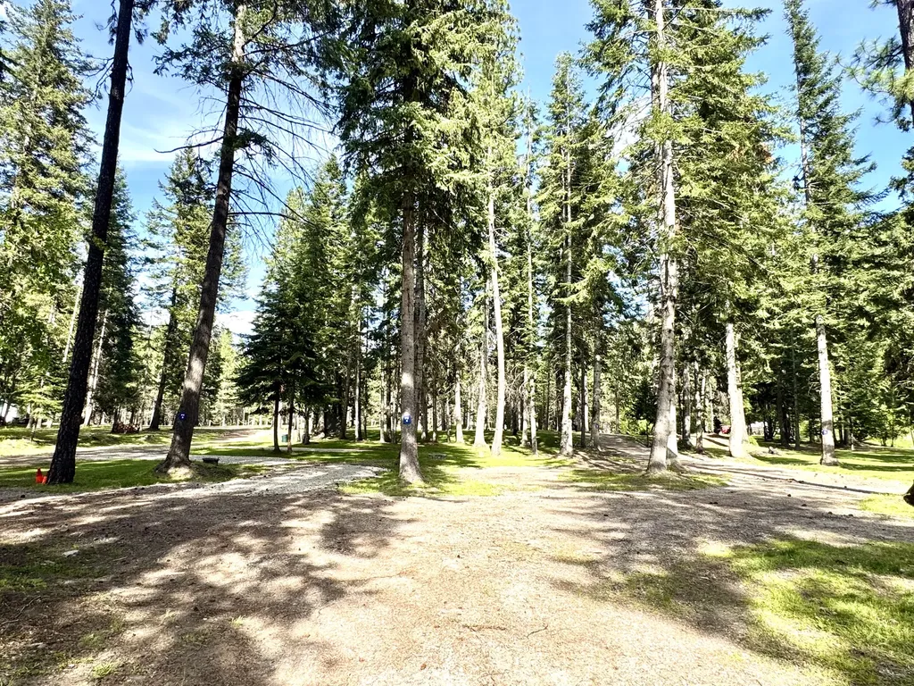 713 Prospect Creek Road Thompson Falls MT 59873