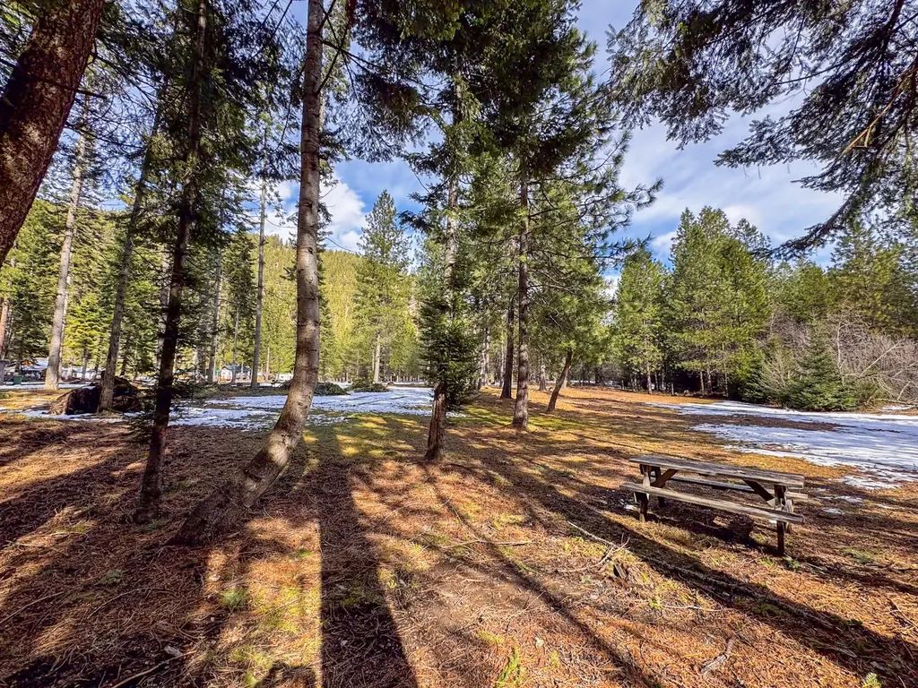 713 Prospect Creek Road Thompson Falls MT 59873