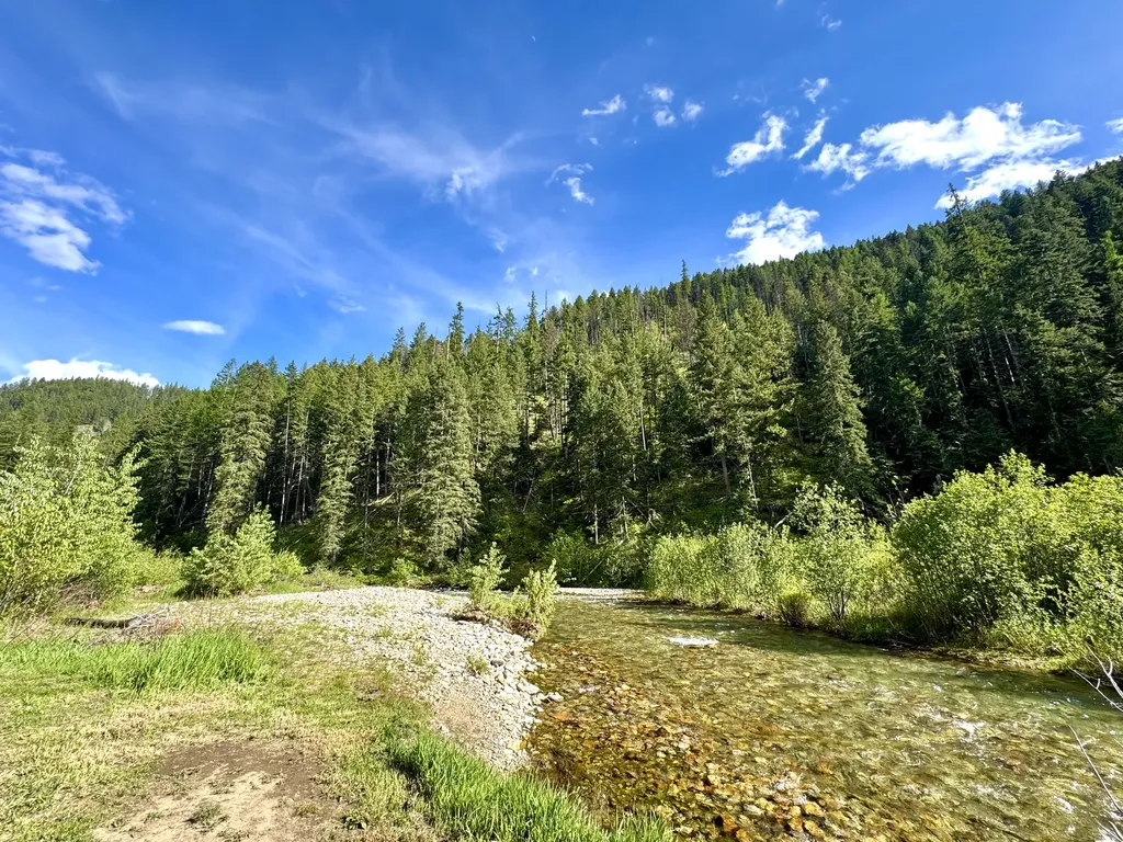 713 Prospect Creek Road Thompson Falls MT 59873