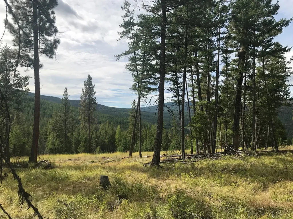 Nhh Whitetail Ridge Kalispell MT 59901