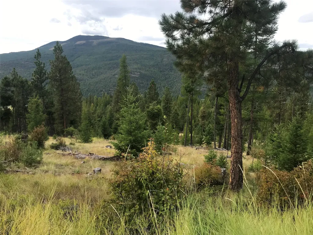 Nhh Whitetail Ridge Kalispell MT 59901