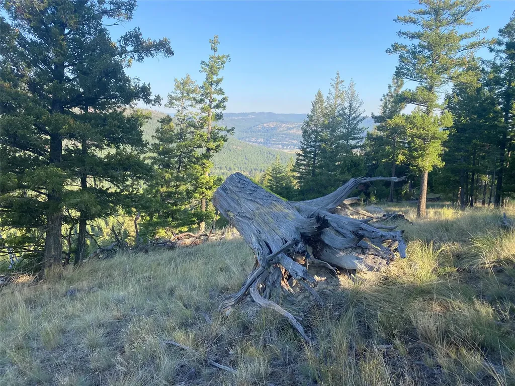 Nhh Whitetail Ridge Kalispell MT 59901