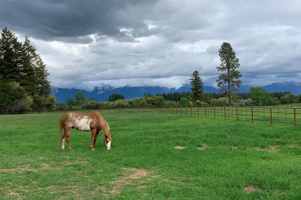 1275 Lower Valley Road Kalispell MT 59901