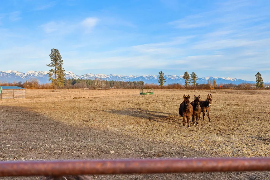 1275 Lower Valley Road Kalispell MT 59901