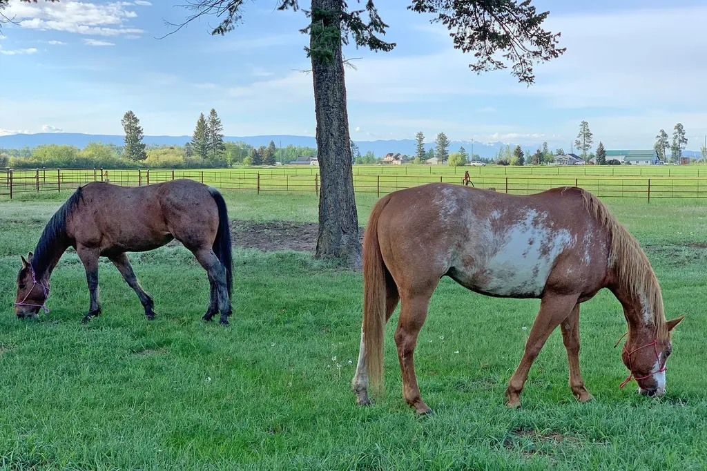 1275 Lower Valley Road Kalispell MT 59901