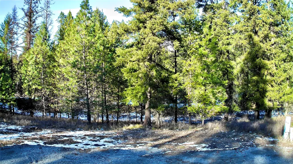 2517 Mossy Rock Court Thompson Falls MT 59873
