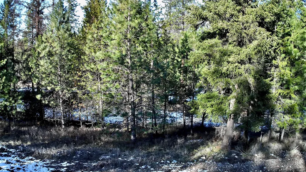 2517 Mossy Rock Court Thompson Falls MT 59873