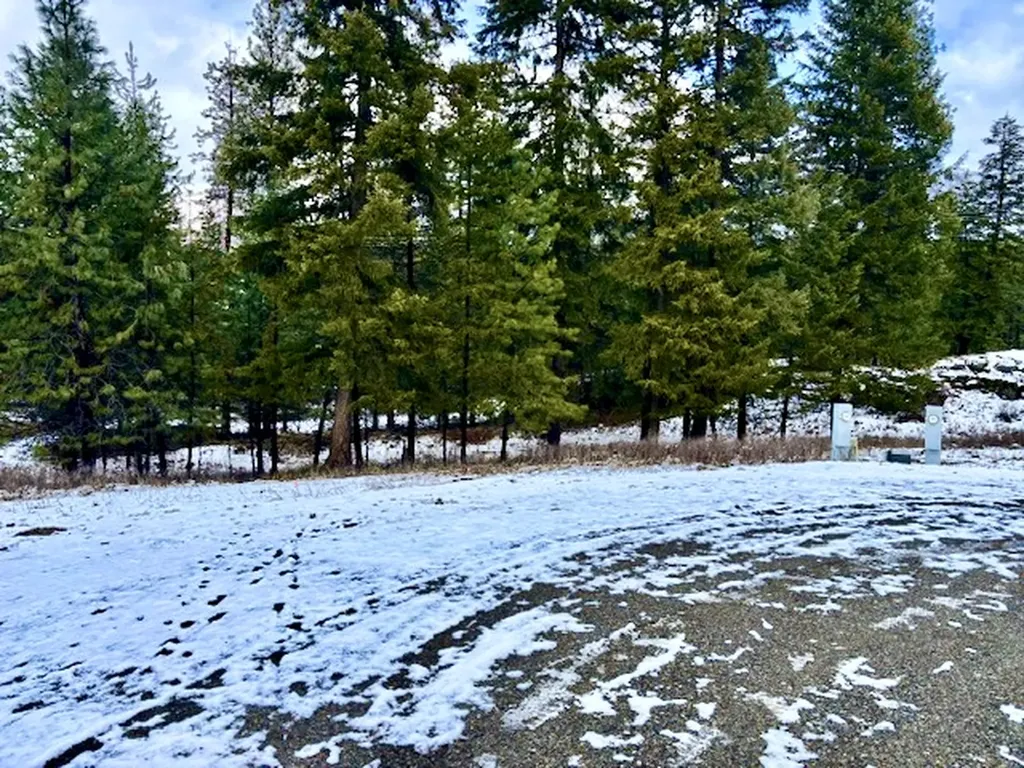 2517 Mossy Rock Court Thompson Falls MT 59873