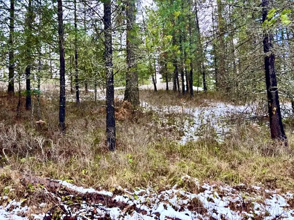 2517 Mossy Rock Court Thompson Falls MT 59873