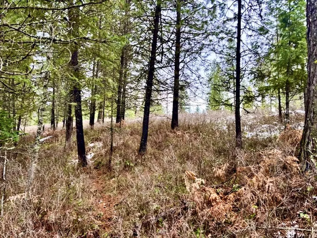 2517 Mossy Rock Court Thompson Falls MT 59873