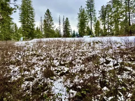 2517 Mossy Rock Court Thompson Falls MT 59873