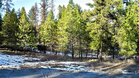 2517 Mossy Rock Court Thompson Falls MT 59873