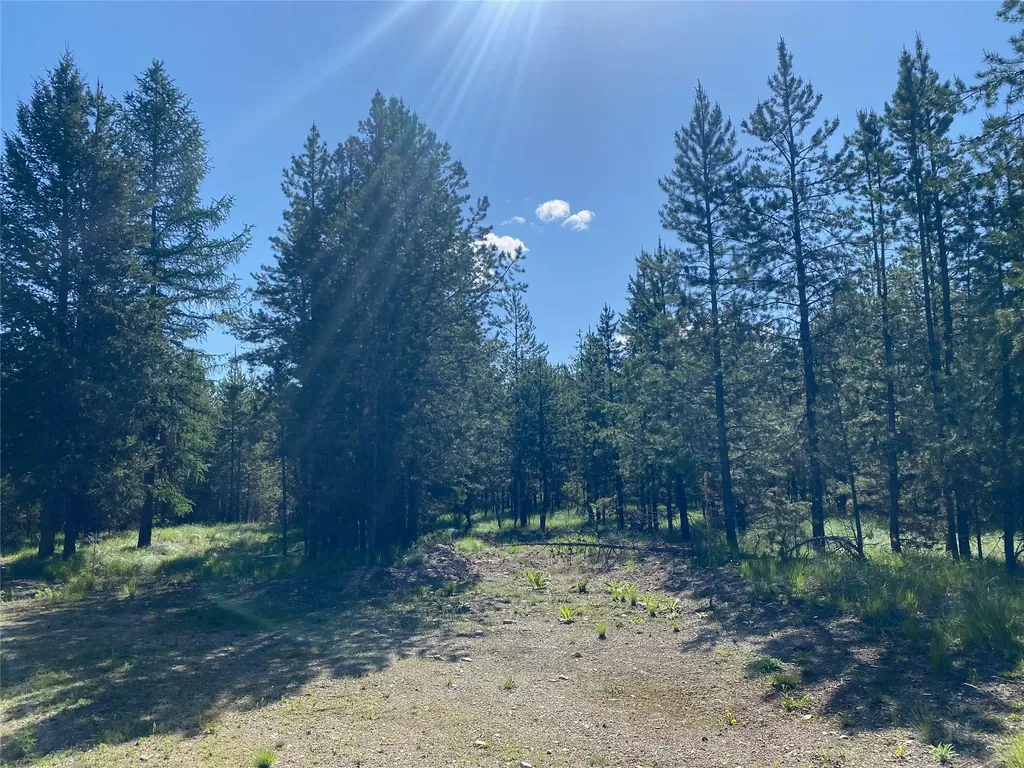 41 Lewis Kelsey Court Marion MT 59925