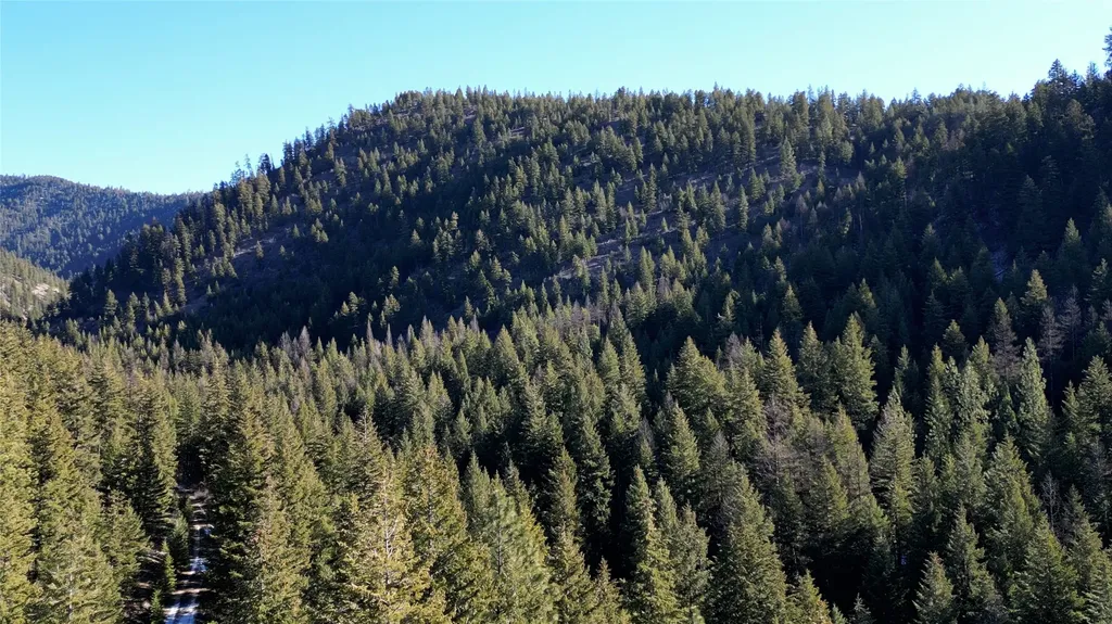 Nhn Lozo Creek Trail Superior MT 59872