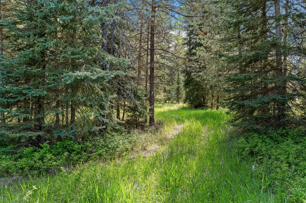 757 Lodgepole Road Whitefish MT 59937