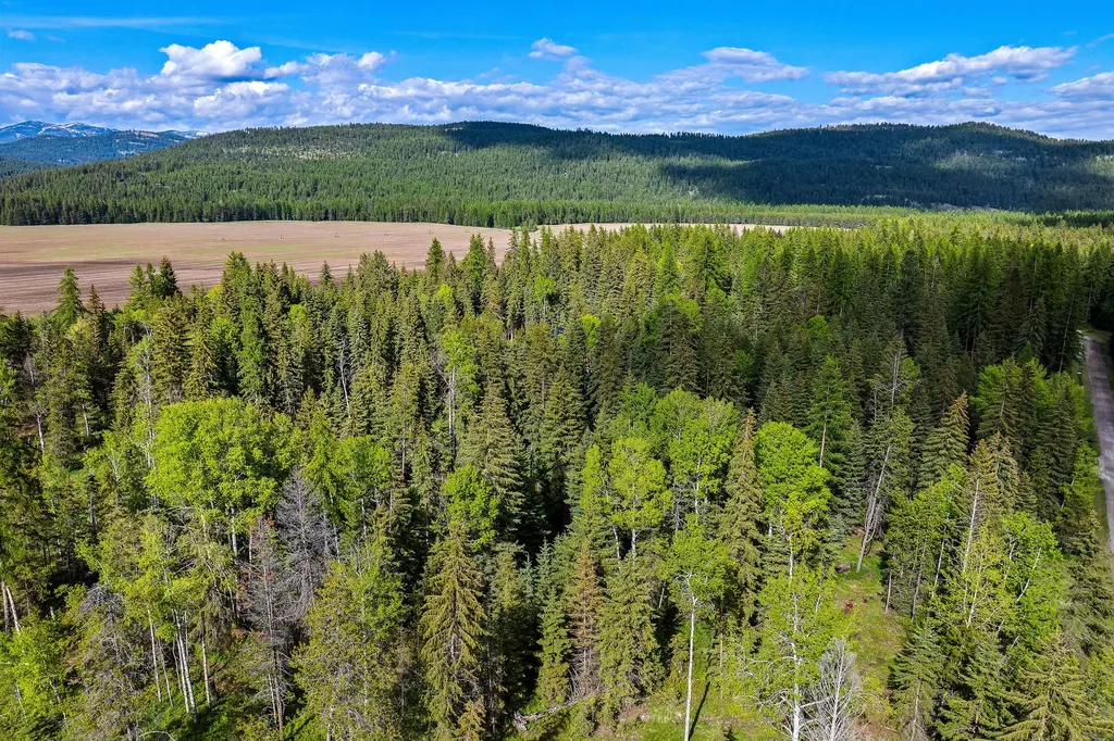 757 Lodgepole Road Whitefish MT 59937