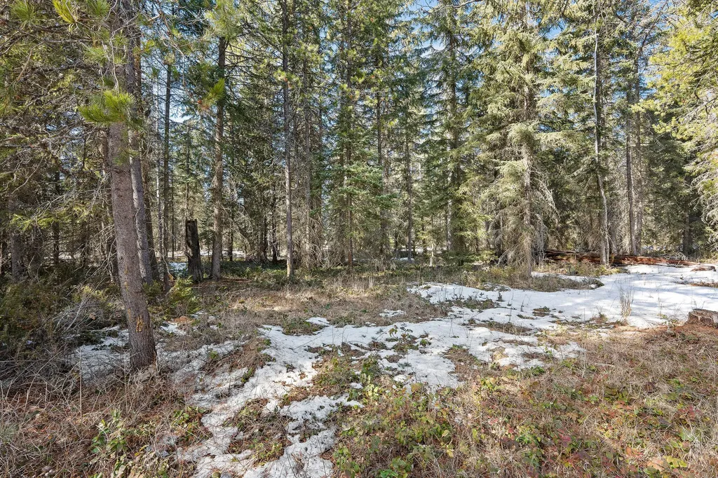 757 Lodgepole Road Whitefish MT 59937